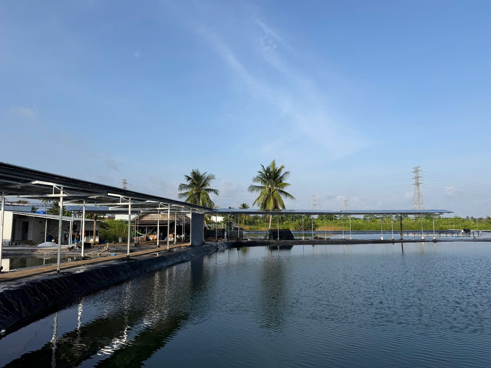 Mái che Solar4Shrimp bên cạnh ao tôm lót bạt tại trại nuôi Tám Thượng, Cà Mau